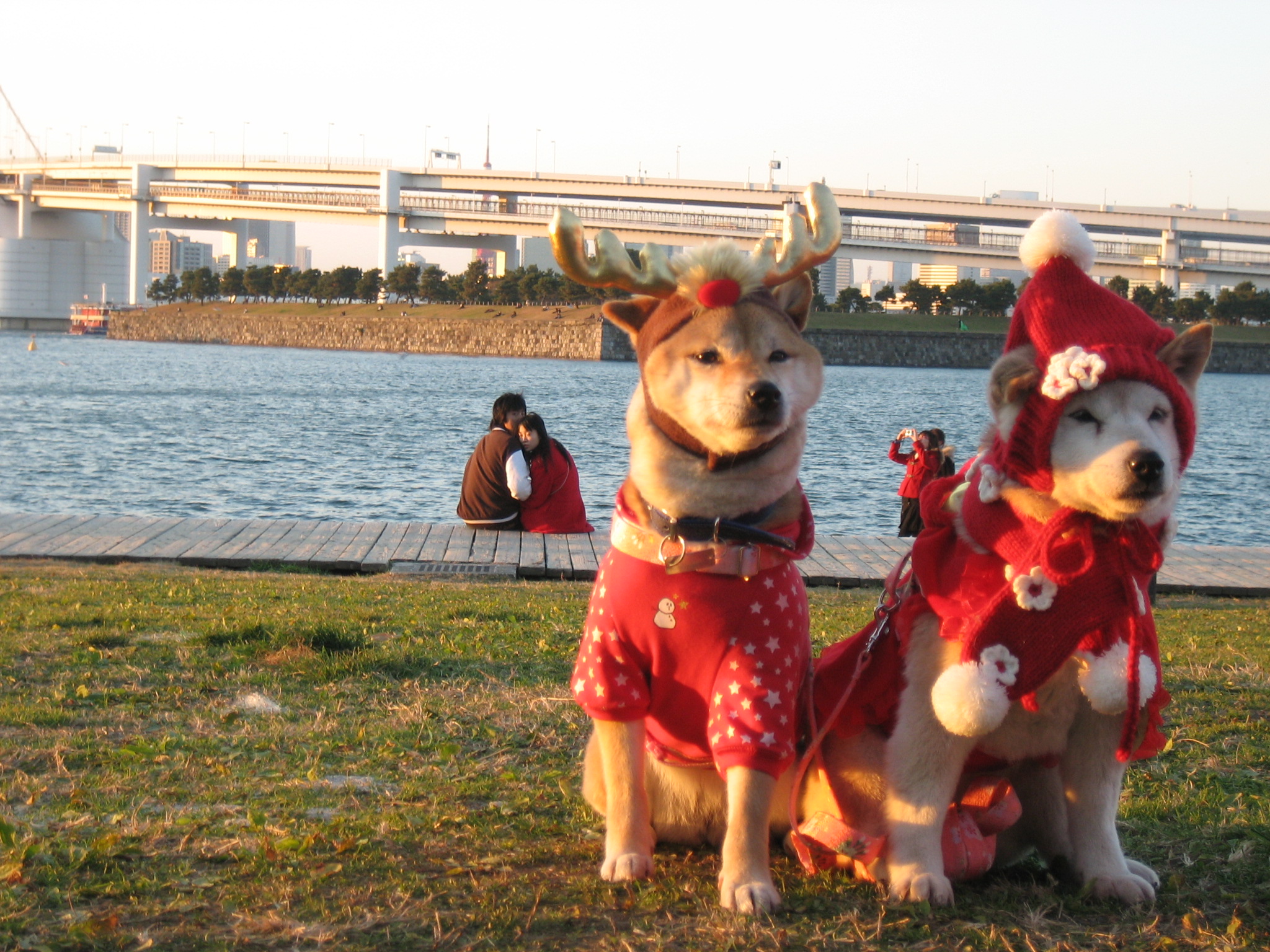 Nochebuena en Odaiba